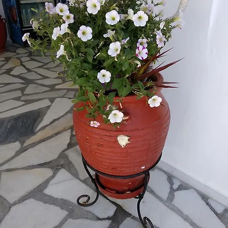 Aparthotel Anna 3*